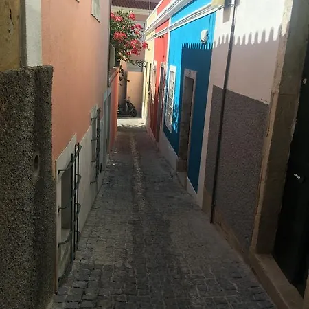 Rosa Διαμέρισμα *